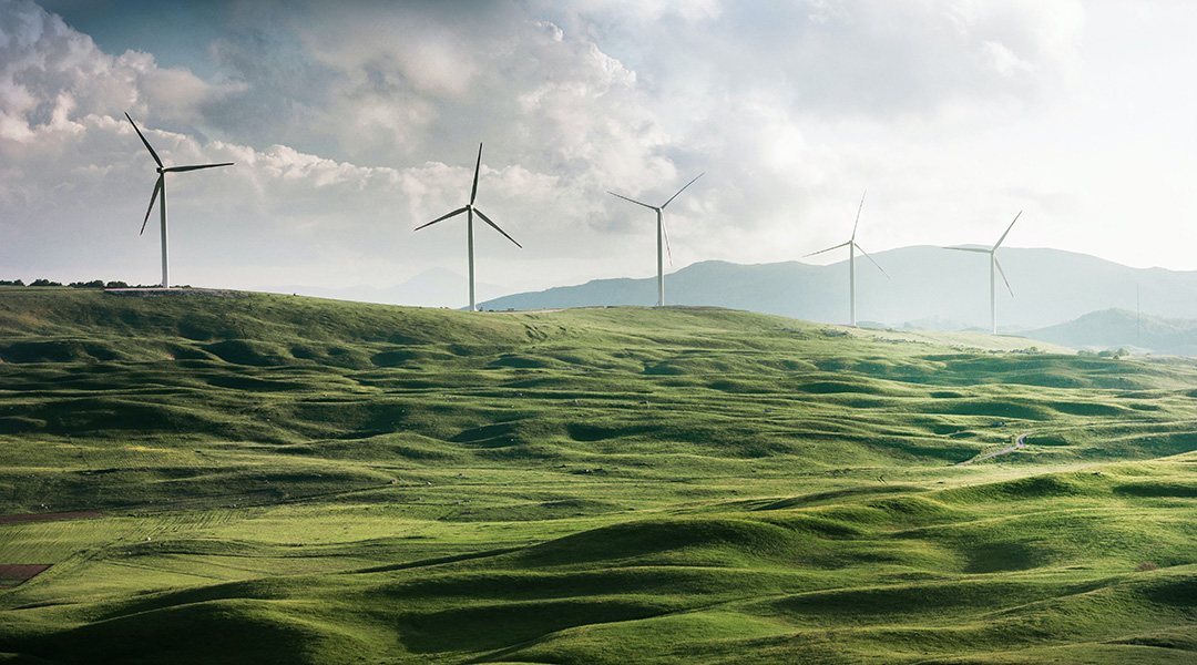 Wind turbines in a green field.