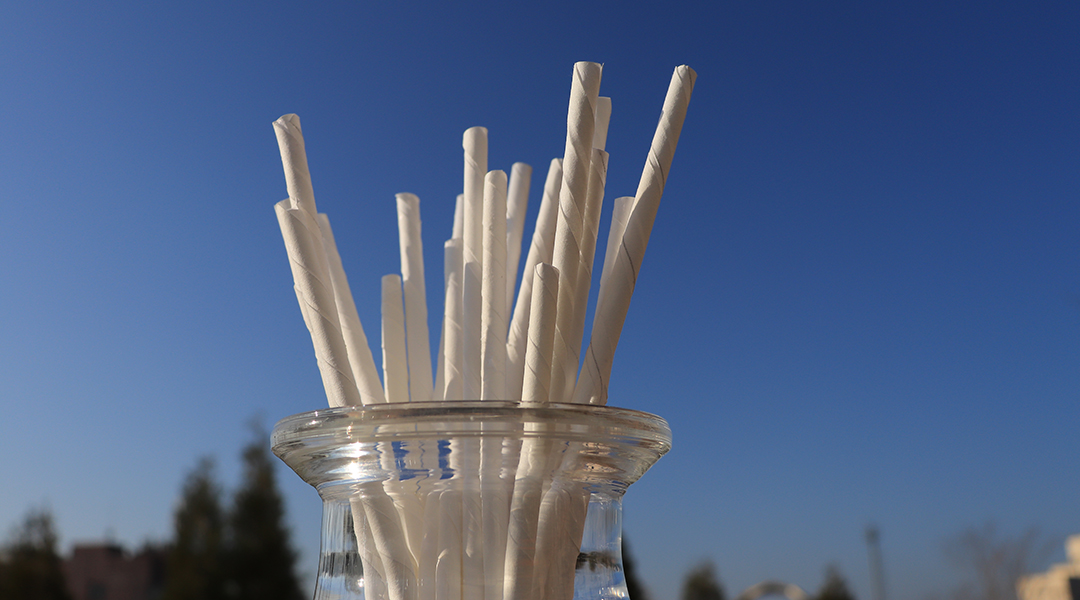 Antifizzing biodegradable paper straws.