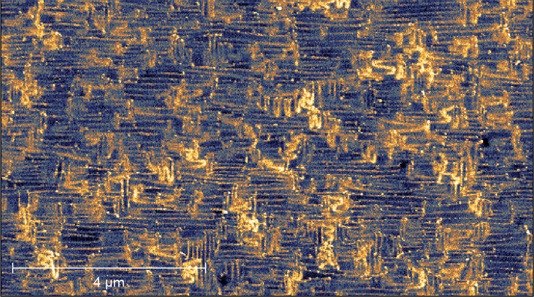 Artificial neural network made from memristors.