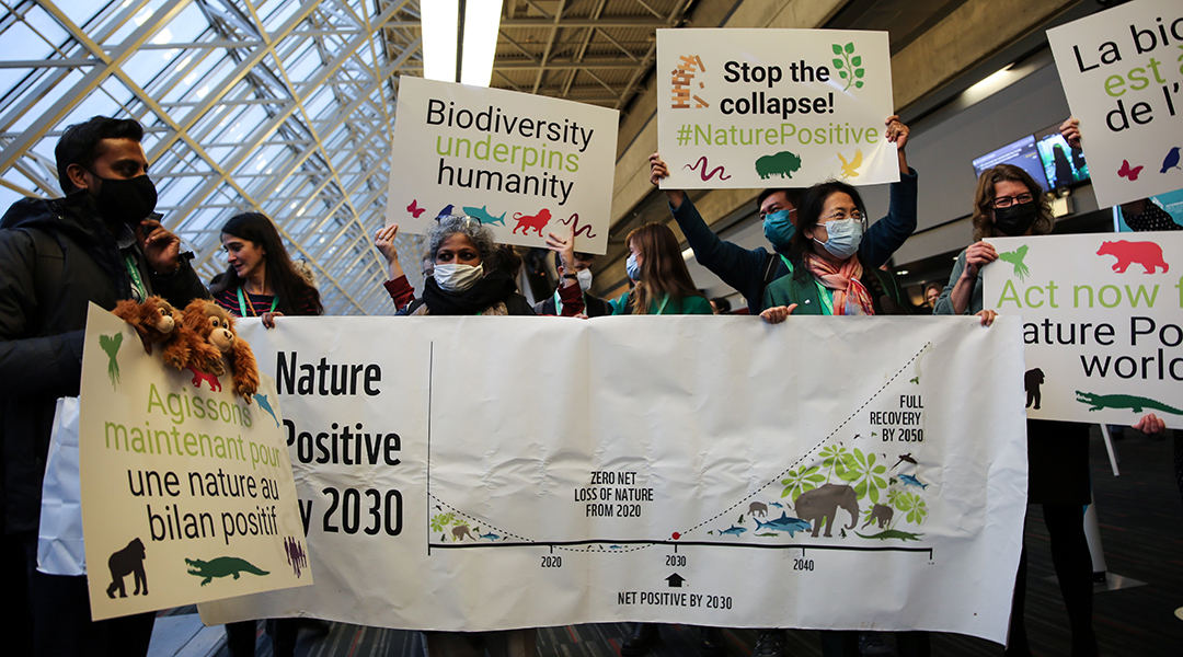 COP15 Biodiversity Conference protestors. Photo by IISD