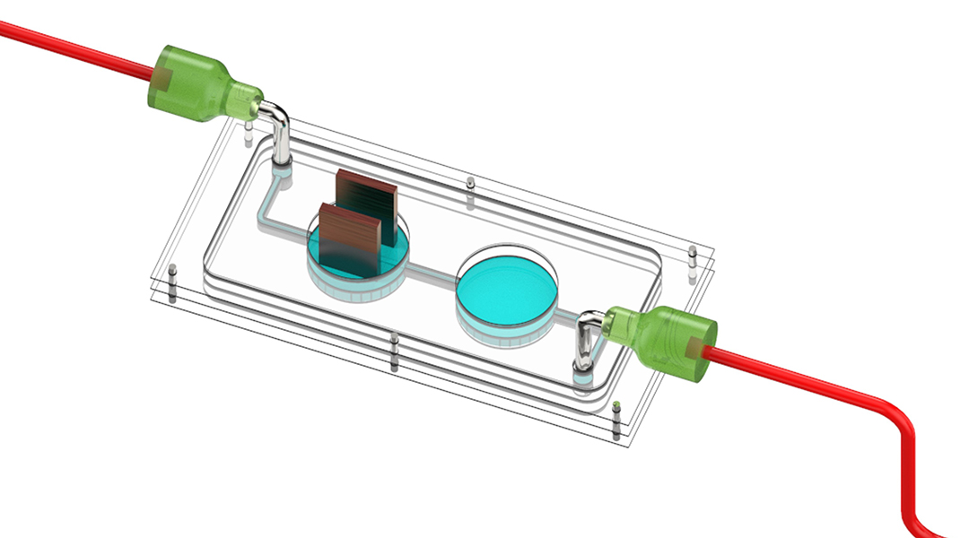 A graphic depicting a gym-on-a-chip technology.