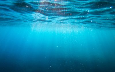 Electrolysis of seawater to make hydrogen