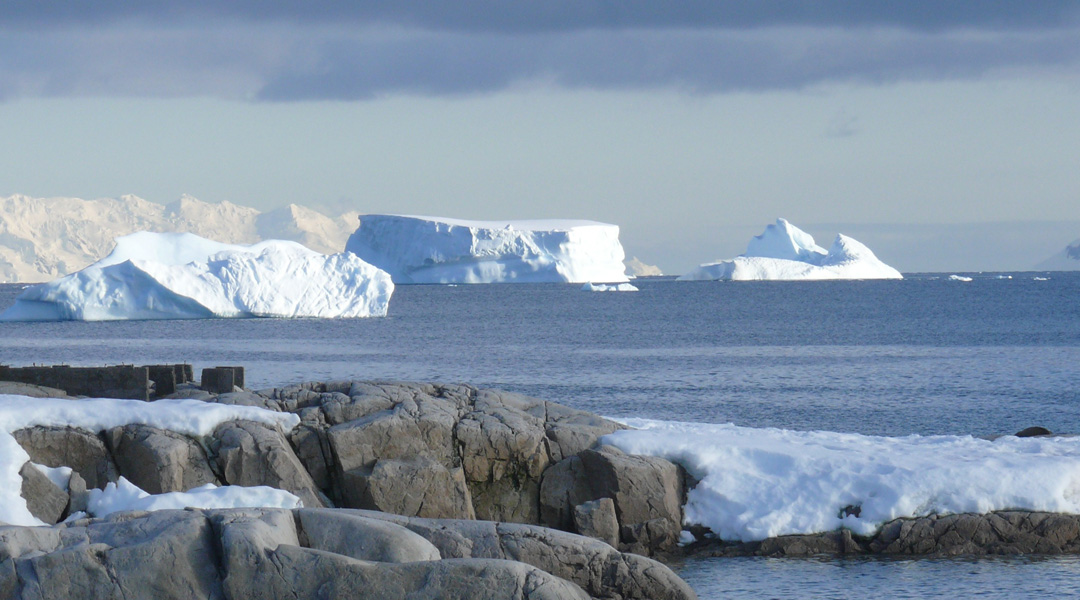 Is Antarctica blooming?