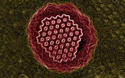 Bringing ancient viruses back to life
