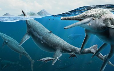 Nevada’s ichthyosaur graveyard: Shedding light on a prehistoric mystery