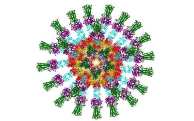 Influenza vaccine turns the virus on its head