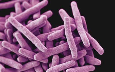 Gaucher disease may have provided genetic protection against tuberculosis