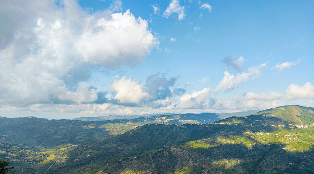 Landscape photo of a forest and blue sky.