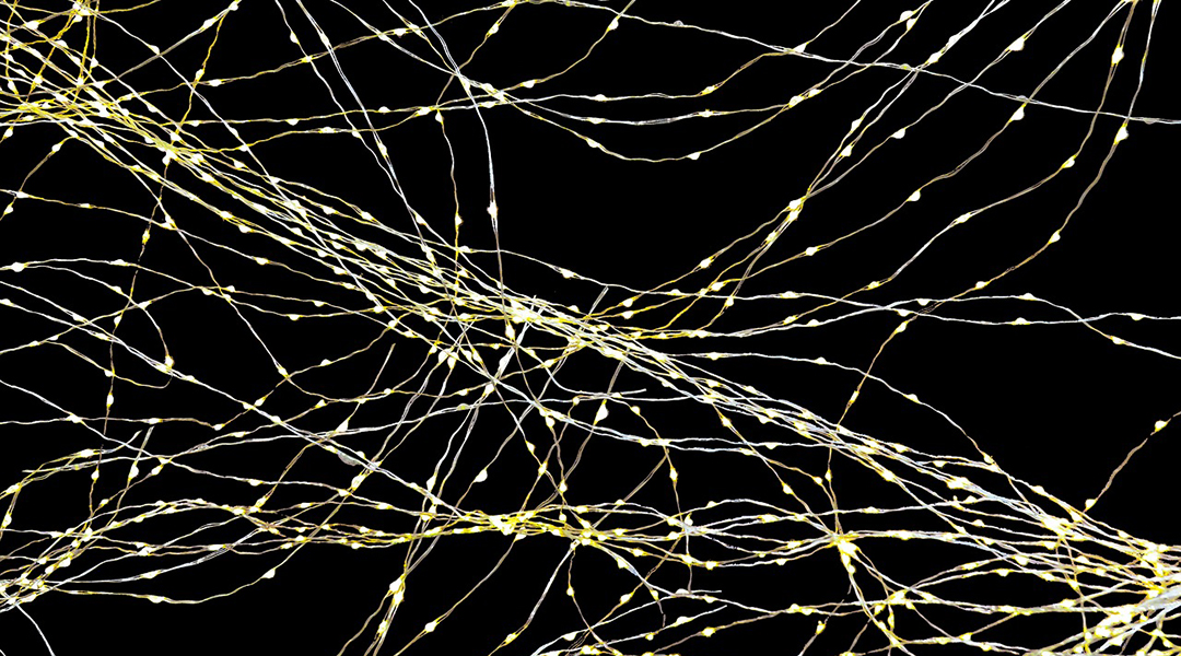 Abstract image of a network of nerves.