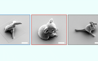 New inks print tiny 3D structures with ultimate precision