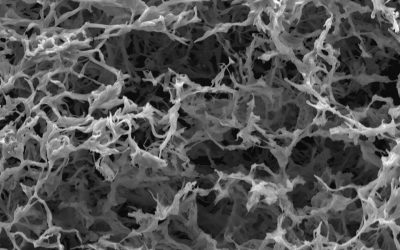 A long-lasting drug delivery system to treat HIV