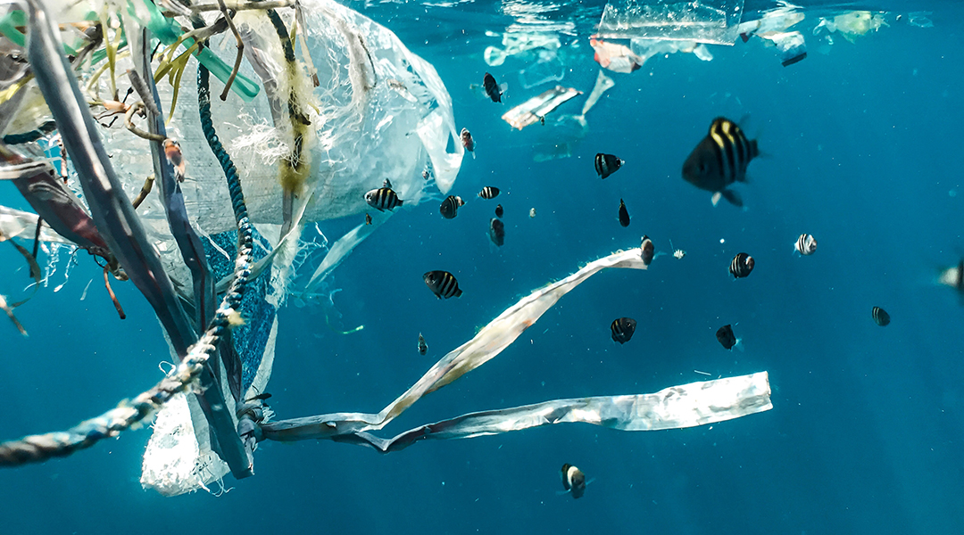 Plastic floating in the ocean by some fish.