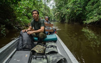 Through the lens of rainforest conservationist and photographer Chien Lee