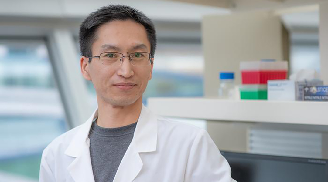 Assistant Professor Dr. Hong-yuan Chu, Van Andel Institute