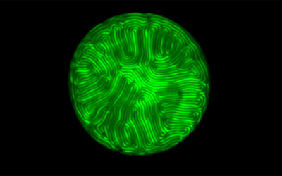 Artificial fingerprints could dramatically enhance biometric security