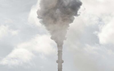 Carbon capture using biomass offers new hope in reducing emissions