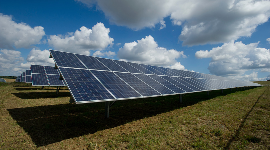 Solar panels in a field.