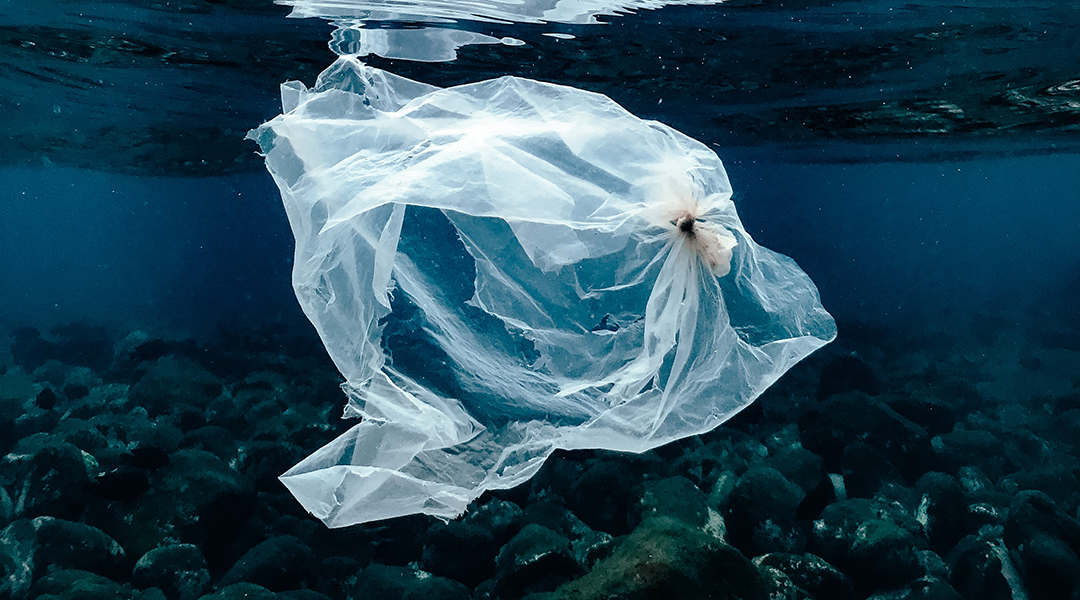 Plastic bag in the ocean.