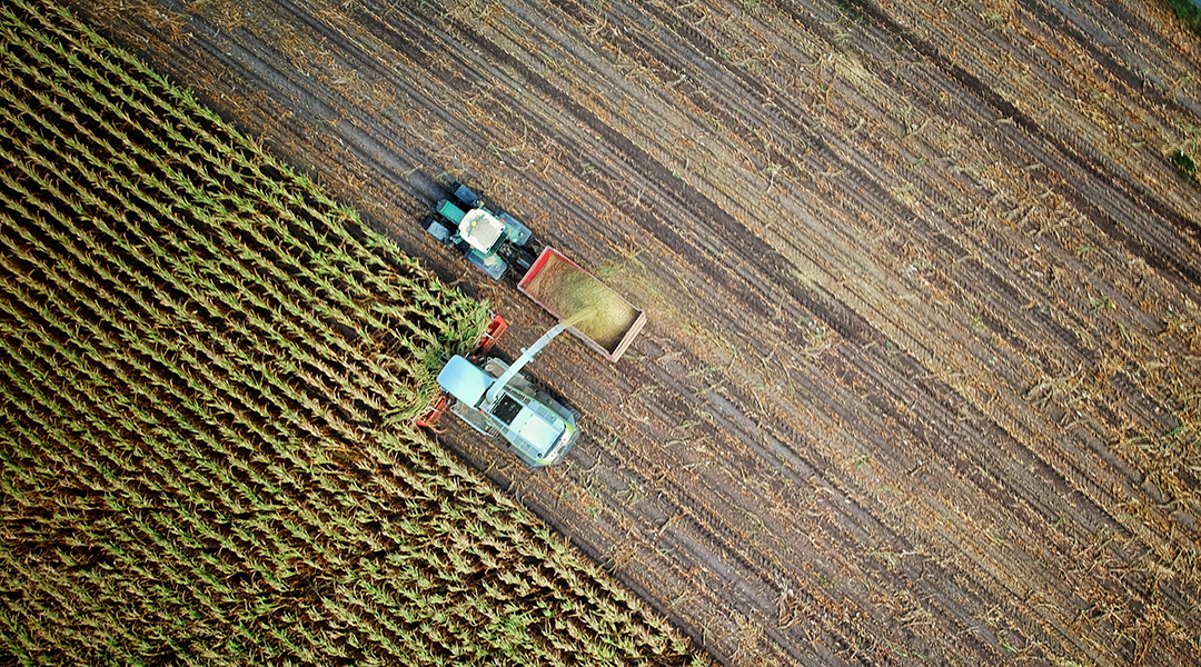Aerial image of crop collection.