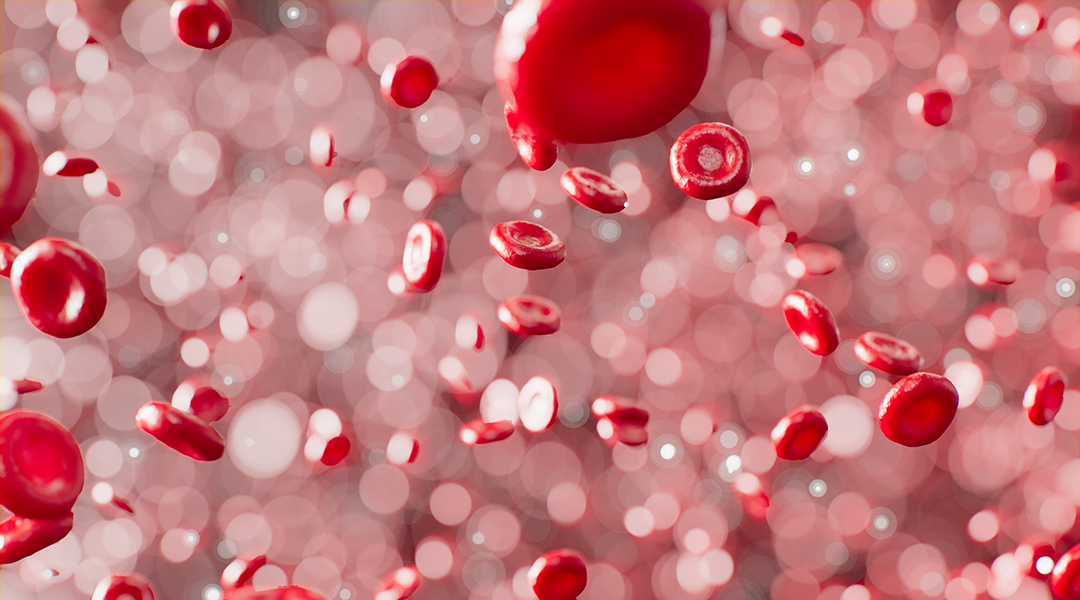 Abstract image of blood cells.