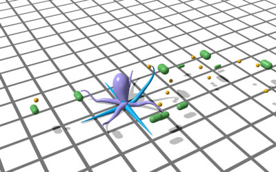 Meet CyberOctopus, your guide to the world of machine learning cephalopods