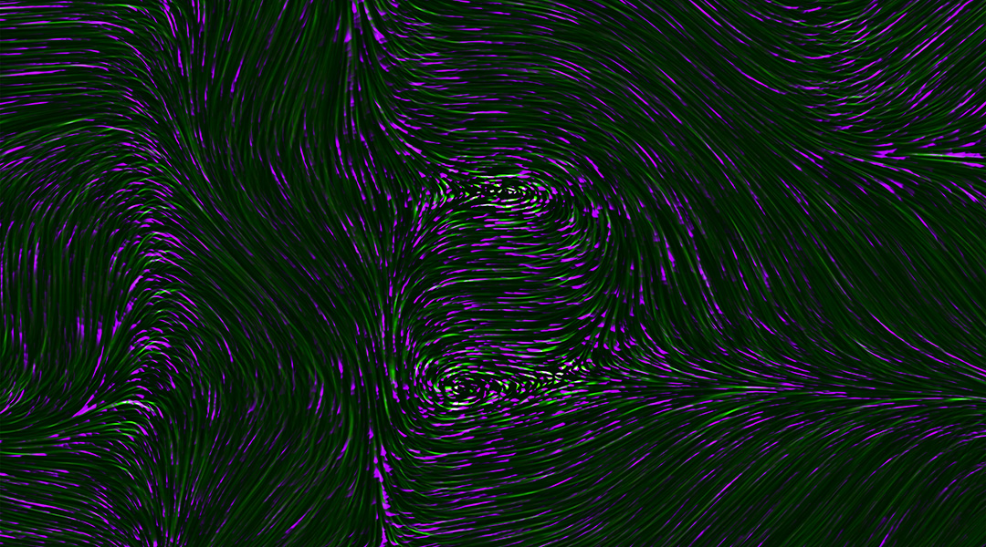 Abstract image of purple and green lines on a black background.