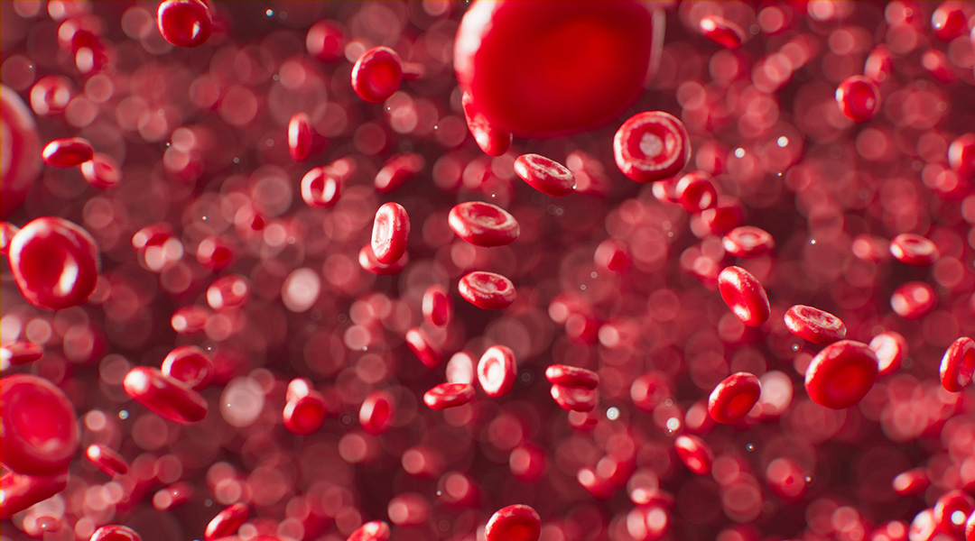 Computer-generated image of red blood cells.