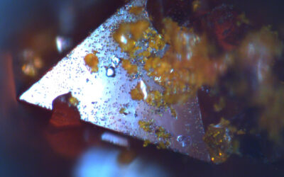 Could a lead-free solar cell be in our future?