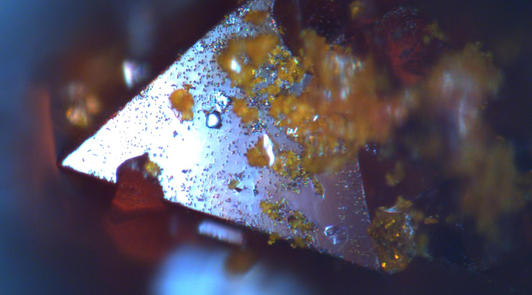 Well defined perovskite with yellow secondary phase.