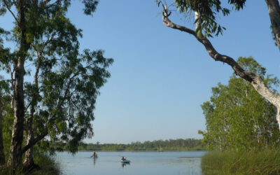 Indigenous fire management in Australia traced back 11,000 years