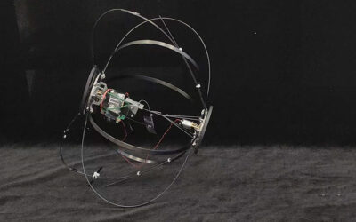 Meet Tumro, a jumping robot inspired by beetles