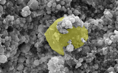 Cool colors, cooler cities: New coating offers solution for urban heat islands