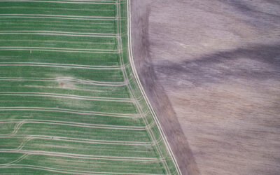 Modern crop seeds are not ready for climate change