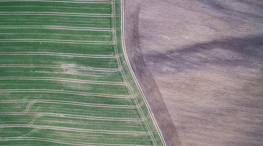 Modern crop seeds are not ready for climate change
