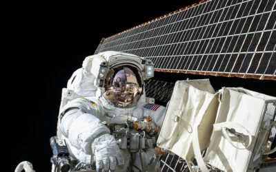 An organ-on-chip simulates the effects of cosmic radiation on astronauts