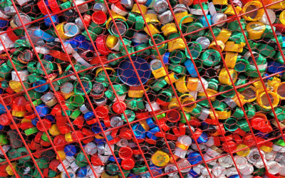 Bacteria in wastewater could be breaking plastics down for food