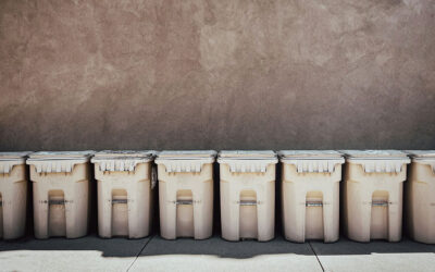 Scientists report airborne bacteria found in garbage may age our blood vessels