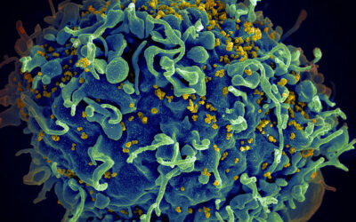 New blood markers predict long-term health risks in people with HIV