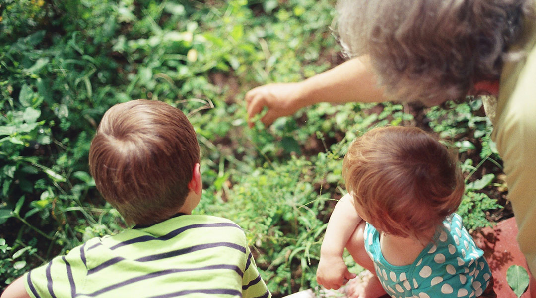 Immune resilience gene signature could hold the key to healthy aging