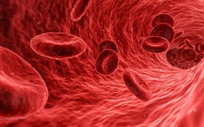 Turning Periods into Power: Menstrual Blood a Valuable Resource for Medical Diagnostics