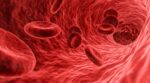 Red blood cells passing through a blood vessel, artistic impression.