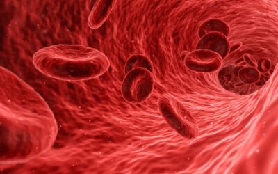 Turning Periods into Power: Menstrual Blood a Valuable Resource for Medical Diagnostics