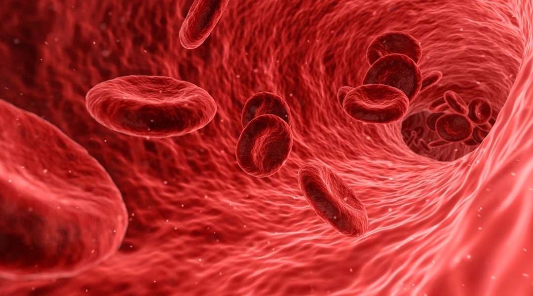 Turning Periods into Power: Menstrual Blood a Valuable Resource for Medical Diagnostics