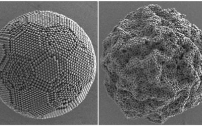 Surfactants Steer Supraparticle Structure