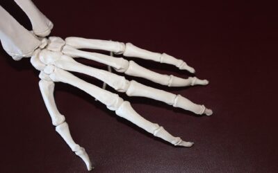 3D printed scaffolds bring artificial bone closer to reality