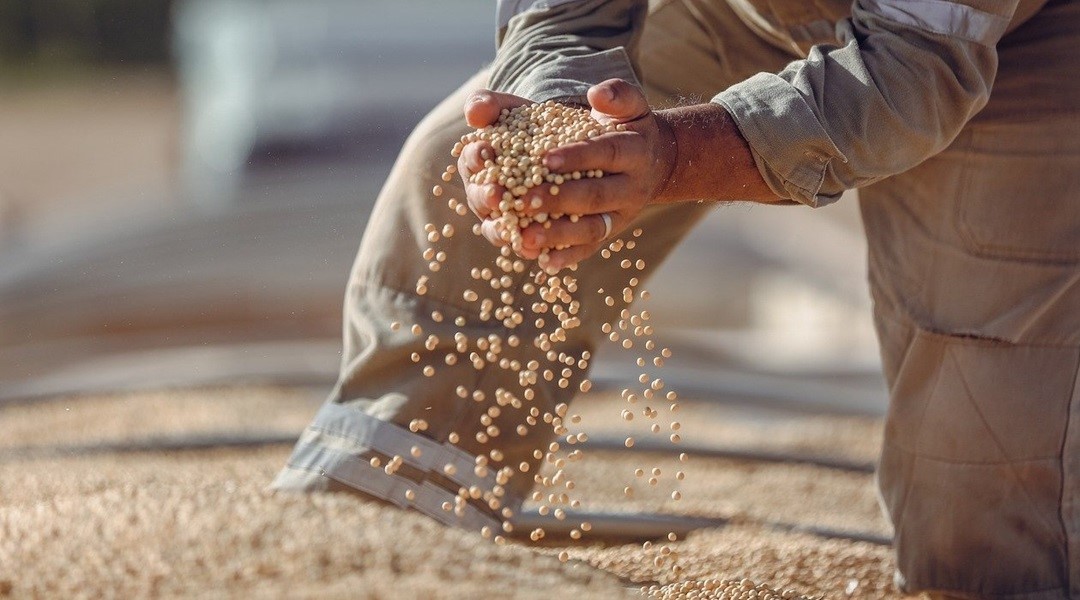 AI-Guided Gene Editing Boosts Soybean Oil Yields