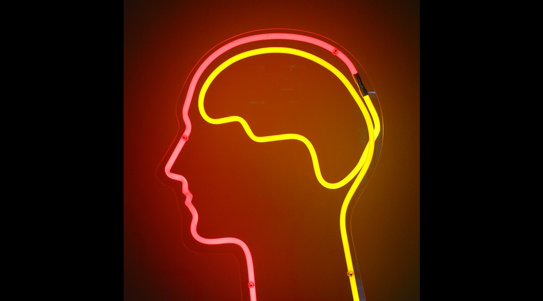 Scientists develop novel brain computational models to explore possible treatment benefits of psychedelics in disorders of consciousness.