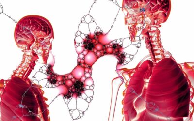 Understanding Transplanted Liver Cells for Regenerative Therapies