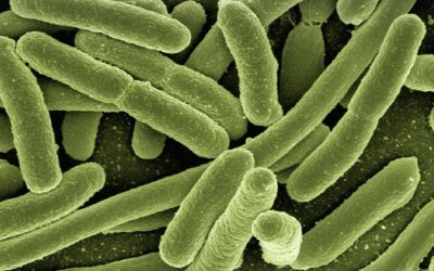 New sensor could transform urinary tract infection diagnostics