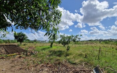 Transforming agricultural waste into water and energy solutions in Mozambique